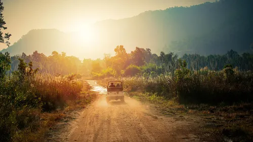 6 Must-try Wildlife Tours In India Right Now 