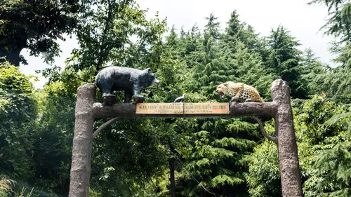 Why Kalatop Wildlife Sanctuary Should Be Your Next Adventure Trip