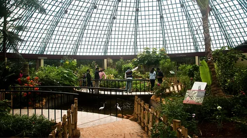 9 Beautiful Parks In Bengaluru Perfect For A Weekend Picnic