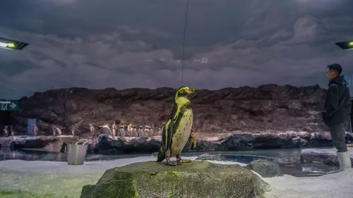 Singapore’s New Bird Paradise Is A Treat For Nature-Loving Travellers