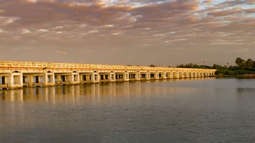 Chennai To Pondicherry: Best Places To Eat On This East Coast Road Trip 