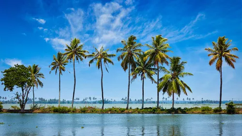 5 Ways To Experience Kerala’s True Culture