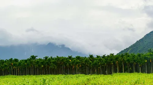 Coimbatore Calling: Everything You Can Do In This Industrial Town