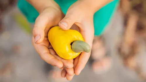 The Story Of Goa's Famed Feni For The Cultural Drinker In You 