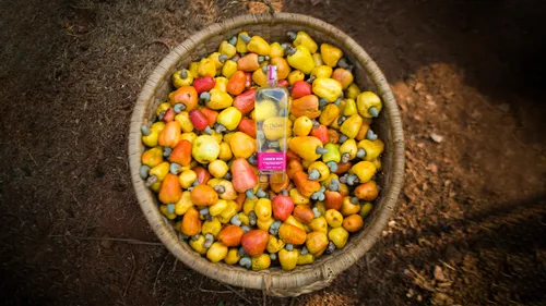 The Fiery Comeback Of Feni From Country Liquor To A Cool Drink