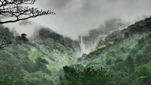 When To Chase Rapids & Greenery: The Best Time To Visit Kolad