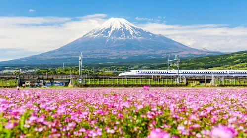 Beyond The Touristy Spots: Hidden Gems To Visit In Japan