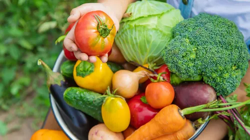 Diving Deep Into The Dip Diet: Unlocking The Secrets Of Plant-Powered Nourishment