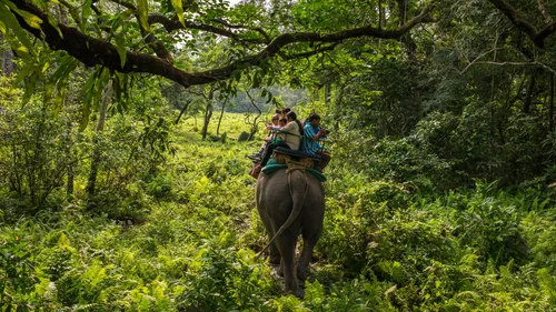 Nature's Paradise: 7 Enchanting Places To Visit In Dooars