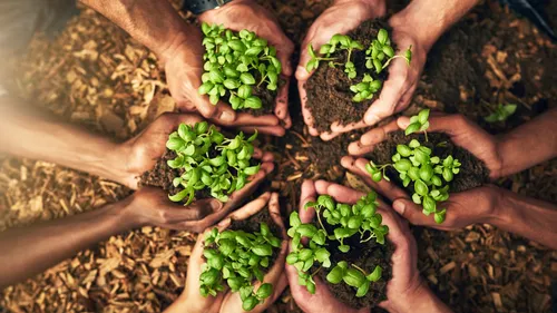 Agents Of Change: 10 Indian Organisations Transforming The Environmental Landscape