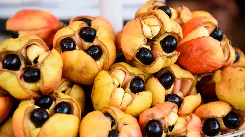 5 Deadly Foods We Dare You to Try