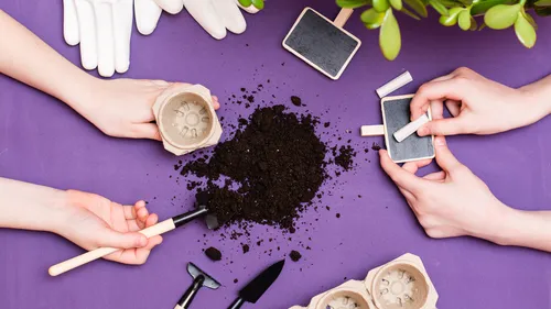 Grow-It-Yourself Kits To Bring The Green Revolution Into Your Home 