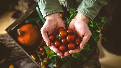 10 Sustainable Indian Brands That Are Good for You And The Planet