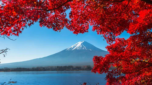 Top Tourist Attractions In Japan To Add To Your Itinerary