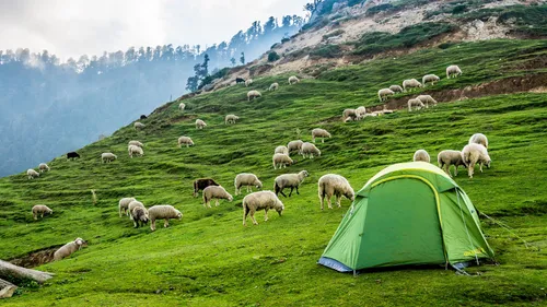 7 Places To Explore In The Quaint Kangra Valley 