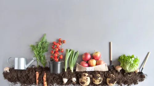 Summer Gardening Made Easy: Grow Fresh Herbs & Veggies Like A Pro!