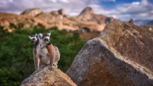 Discover The Untamed Beauty: Must-Visit Places For Your Madagascar Adventure