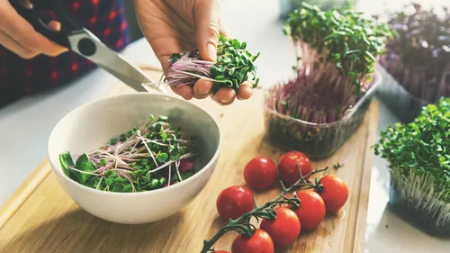 Microgreens: A Lilliputian Green Revolution On The Rise