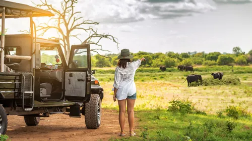 Beyond The Beaches: National Parks In Sri Lanka To Add To Your Travel Itinerary