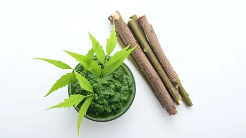 Holistic Healing: Explore The Innumerable Benefits Of Neem