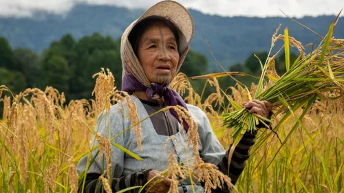   Ziro Valley : Paradise Of Arunachal Pradesh