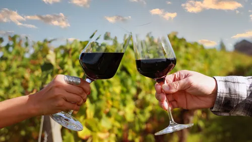 9 Must-Visit Vineyards In India