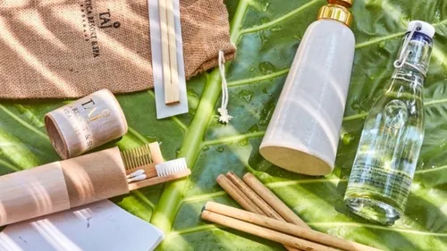 A Look At How The Hospitality Industry Is Helping Protect The Environment 