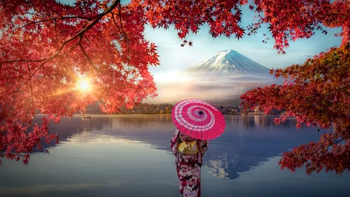 Explore The Capital Of Japan Like A Pro: Quick Tokyo Guide