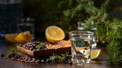  The Gin Spectrum: A Guide To The Main Types Of Gin