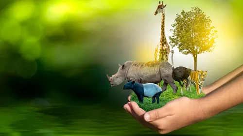 From The Bengal Tiger To Ganges Dolphin—10 Animals To See Before They Go Extinct 