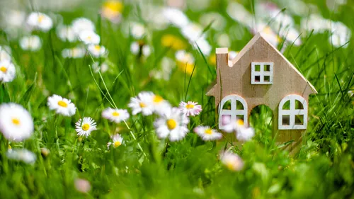 The Most Beautiful Spring Flowers For Your Home Garden: All You Need To Know