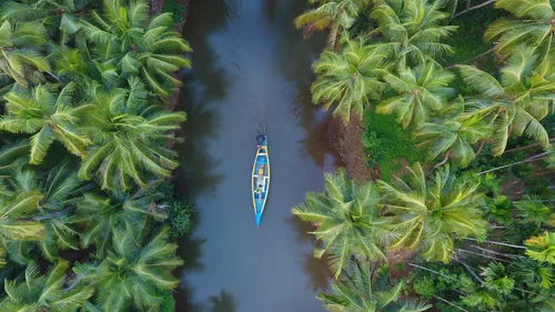 7 Places You Must See In God’s Own Country, Kerala