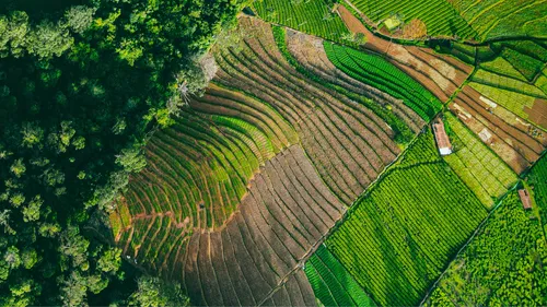 7 Locations In Ooty Famous For Bollywood Shoots 