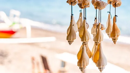 Island Treasures: A Shopaholic's Guide To Andaman Island's Best Souvenirs