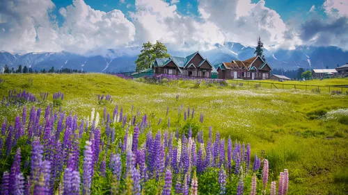  Paradise On Earth: Where To Go On Your Summer Vacation In Kashmir