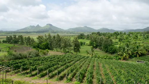 10 Places To Visit In Nashik For The Perfect Weekend Getaway