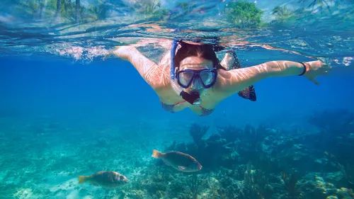 I Found Nemo In The Maldives; Here’s How You Can Too