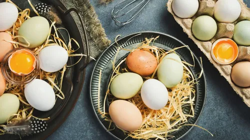 Brown Eggs Or White Eggs? Choose Better With This Quick Guide