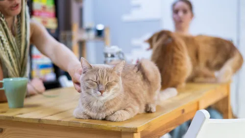 Zest Recommends: Top Things To Do In Mumbai This Weekend