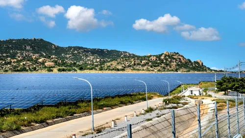 Most Heartwarming Moments That Made Us Smile In 2025