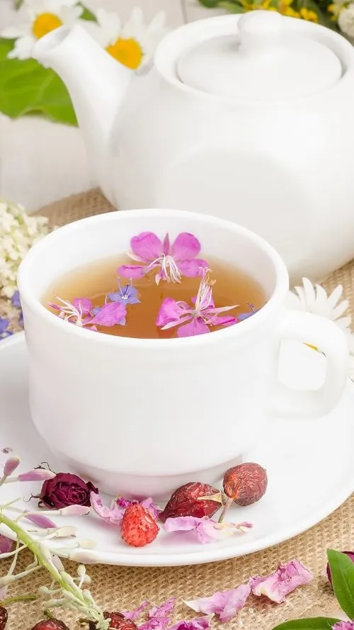Pretty & Potent: Discover The Healing Power & Types Of Floral Teas