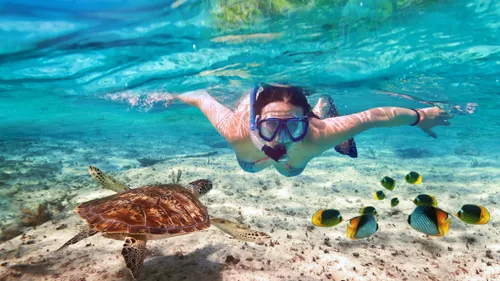 Dive In! India’s Best Snorkelling Spots For Unreal Underwater Views