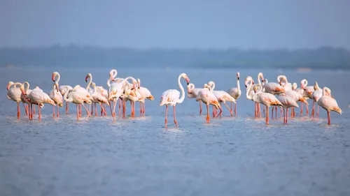 7 Exciting Getaways From Chennai For The Perfect Weekend