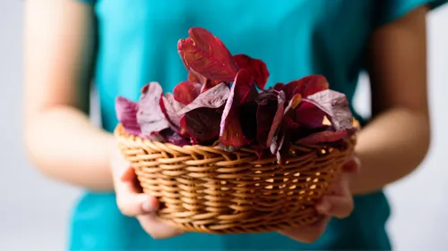 Beyond Methi and Palak: 5 Desi Leafy Veggies To Bring Into Your Kitchen