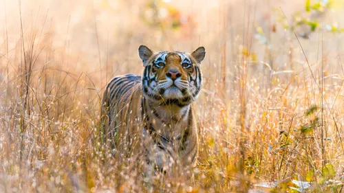 10 Places That Will Make You Want To Book Your Next Vacation To Madhya Pradesh