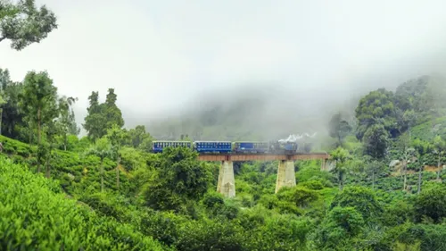 Ooty's Seasonal Symphony: A Rhapsody Of Perfect Moments