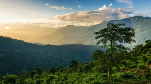 Exploring The Serenity Of Hill Stations In West Bengal