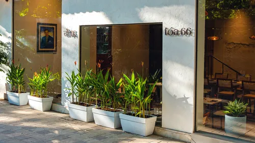 No Meat, No Fuss, No Compromise: At TOA 66, Thai Food Finally Gets Its Green Moment