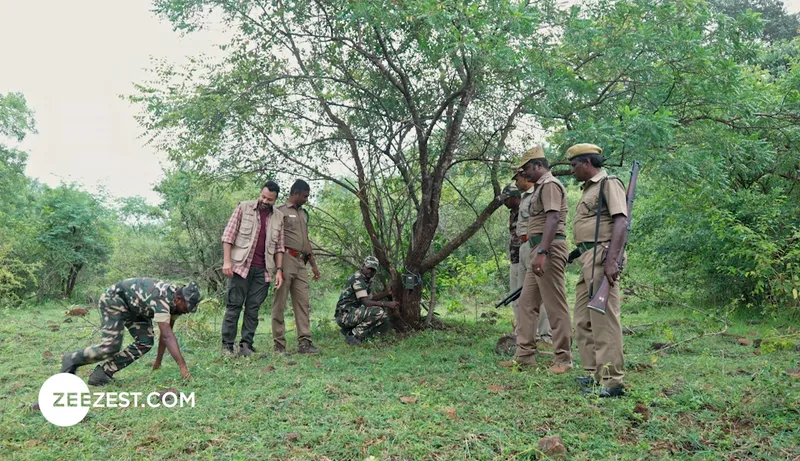 Sathyamangalam Tiger Reserve