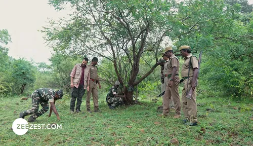 Sathyamangalam Tiger Reserve